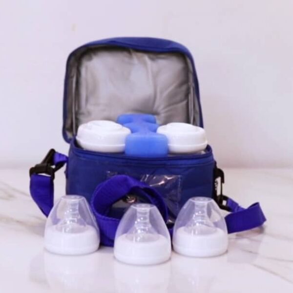 Insulated Cooler Bag with Ice Pack (180ml)